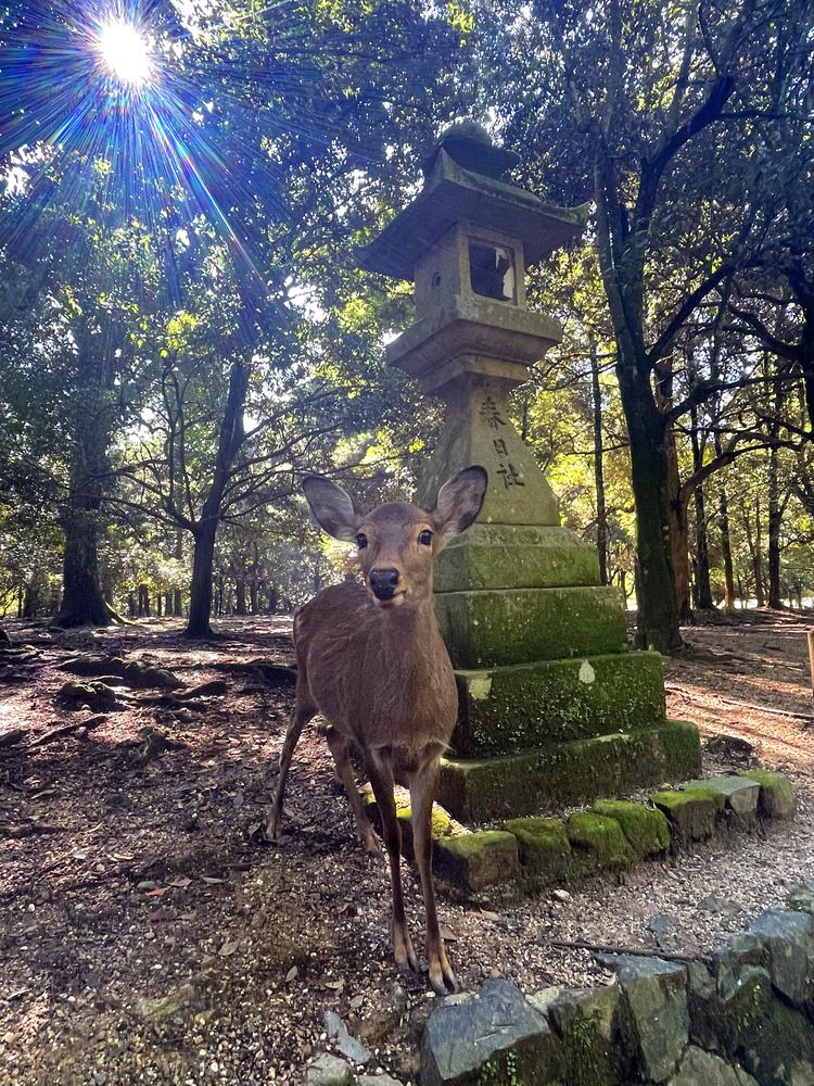 Photograph by Марина