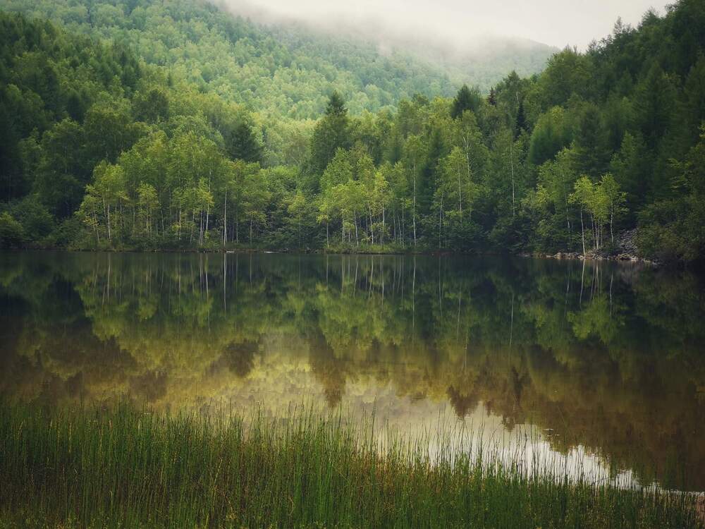 Photograph by Irina Luidinshina