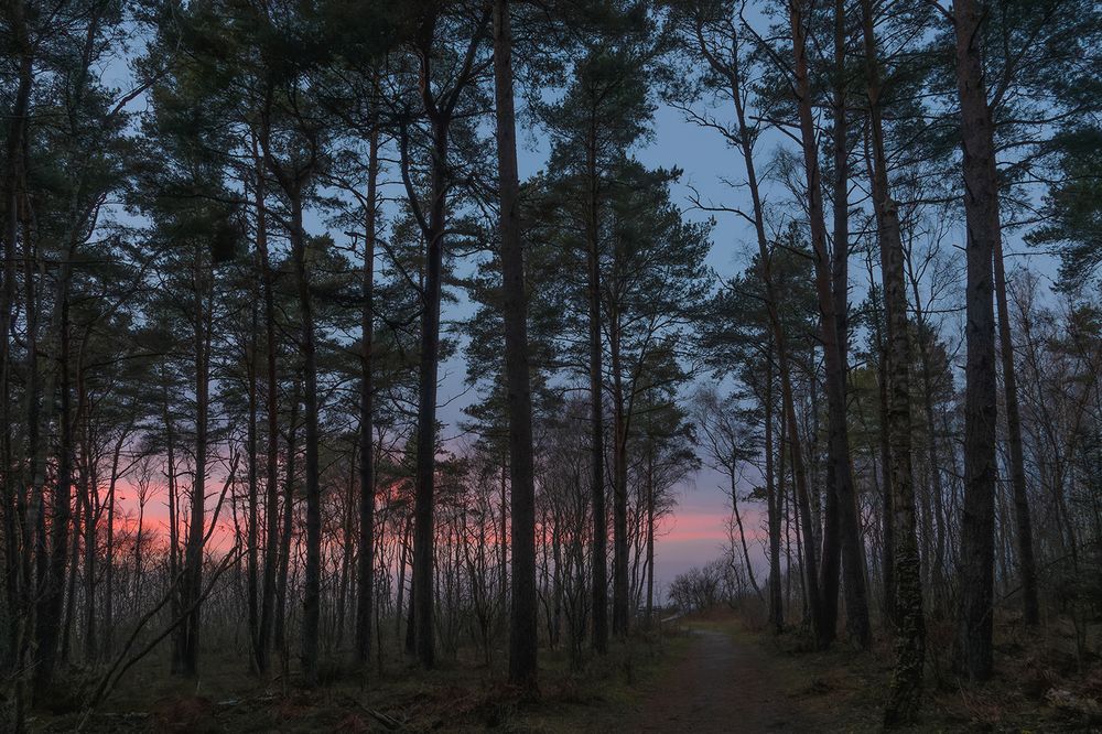 Photograph by  Marina