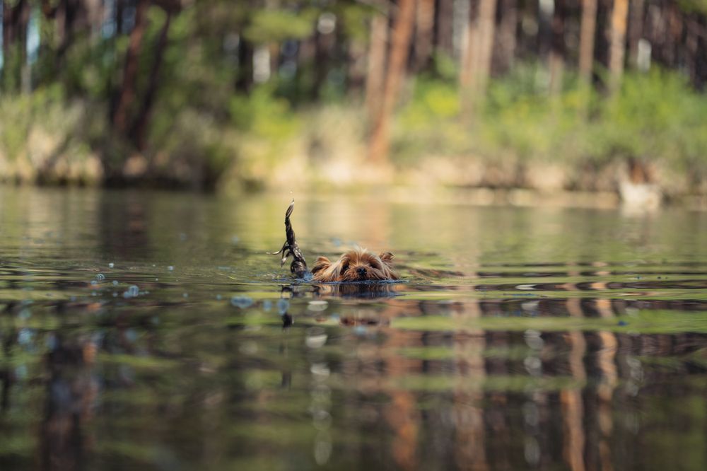 Photograph by Наталья Головина