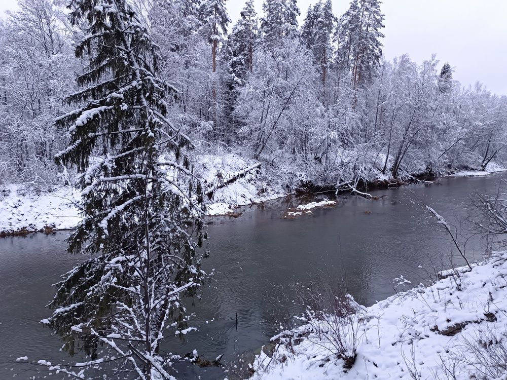 Photo #11800145