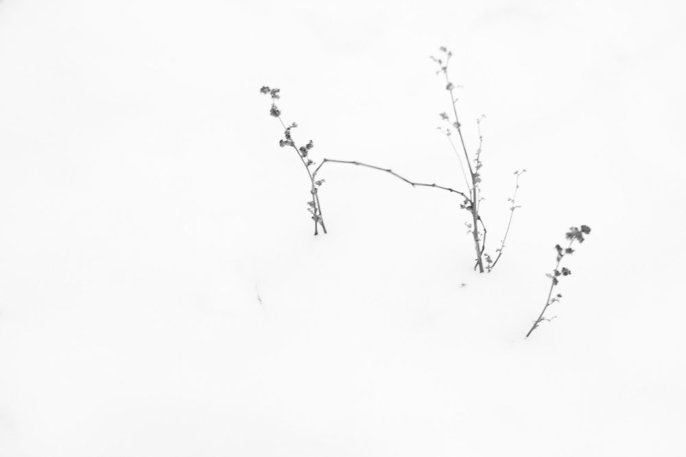 Photograph by Ксения Березкина