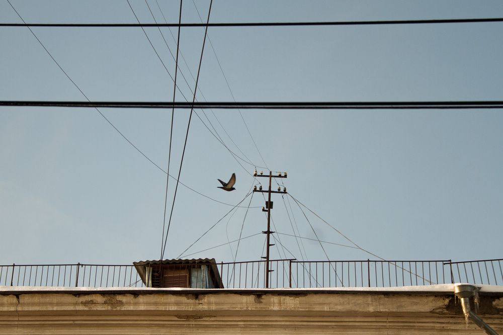 Photograph by Ксения Березкина