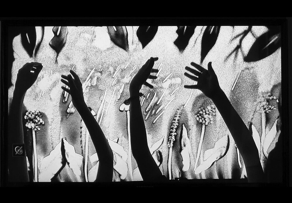 Photograph by Марина