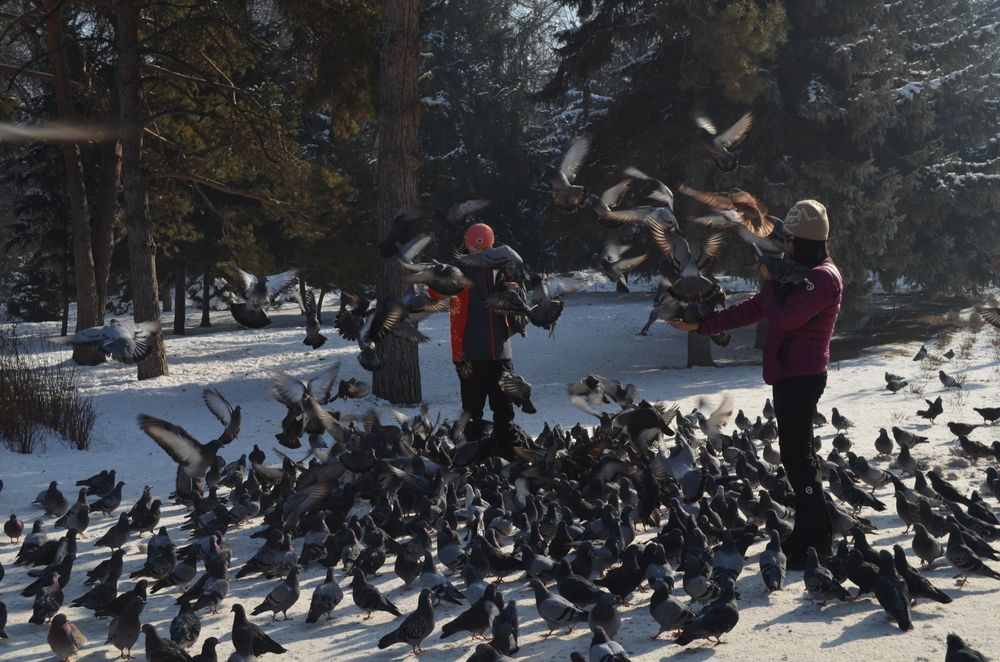 Photograph by Владислав Степанов