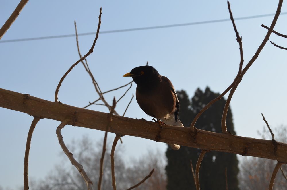 Photograph by Владислав Степанов