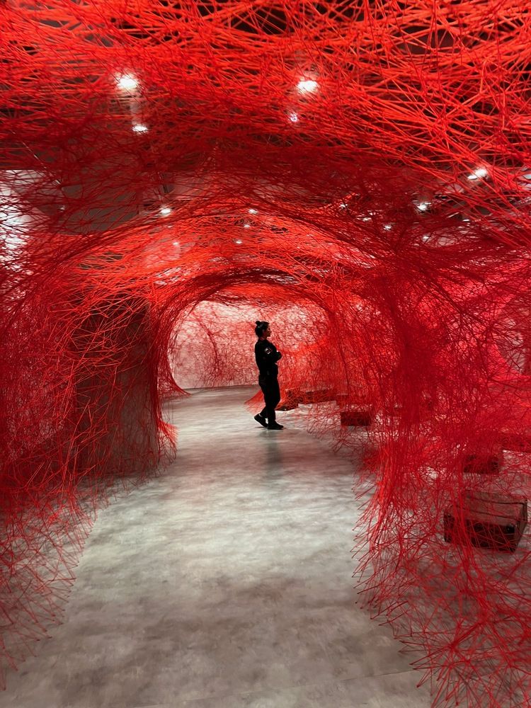 Photograph by Ahmet Aka