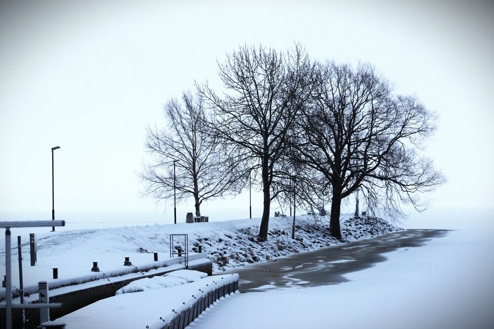 Photograph by ILONA OTRUTSKAYA