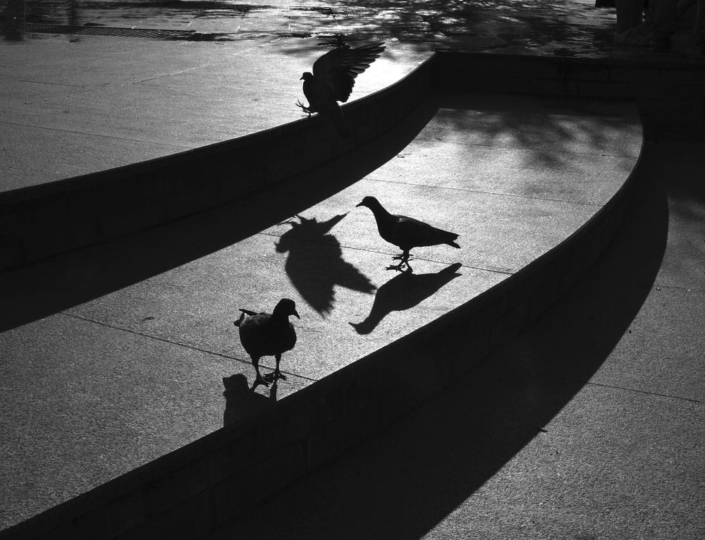 В закатном солнце