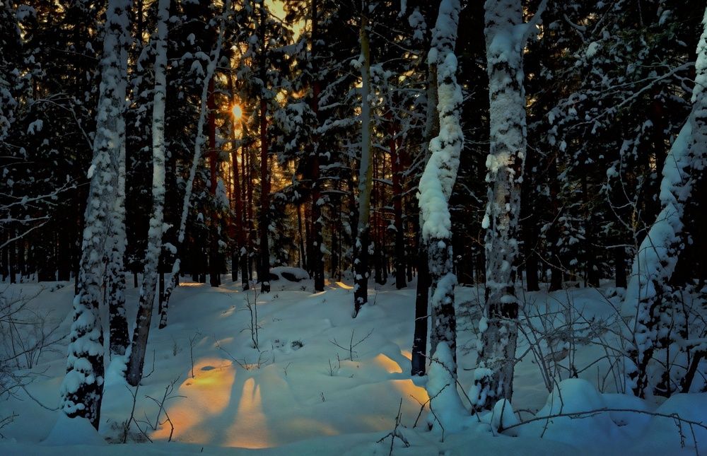 Photograph by Мария Вершинина