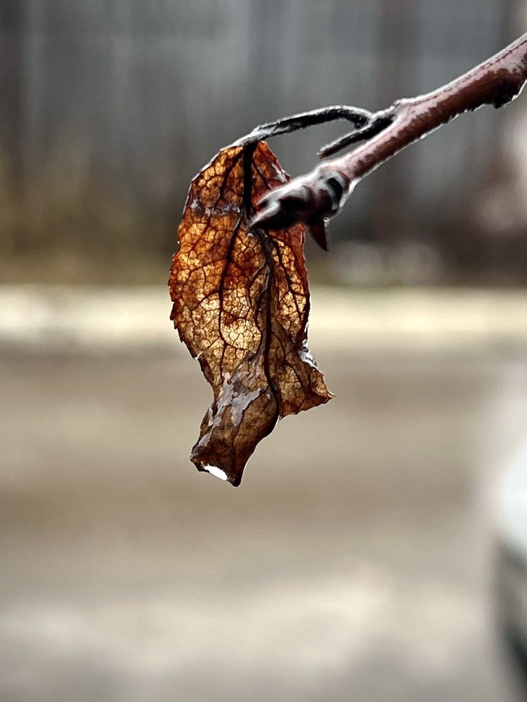 Photograph by Марина Нагичева