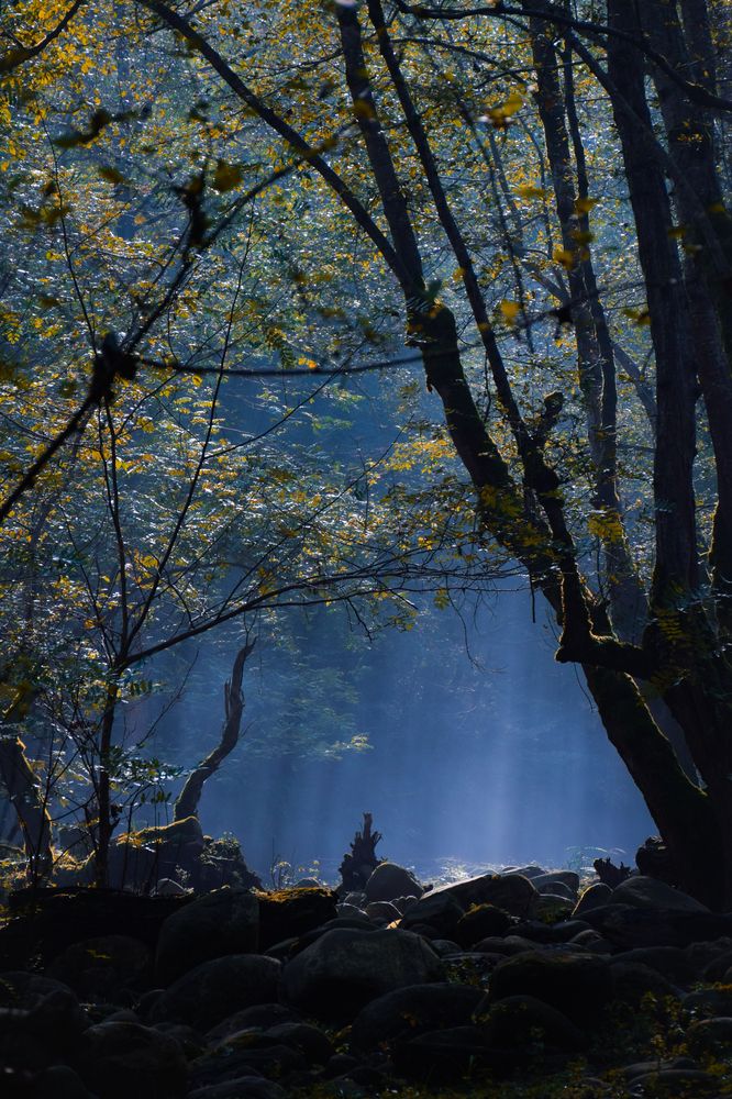 Photograph by Ehsan Fathi