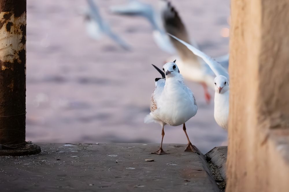 Photograph by Omnia Elshabrawy