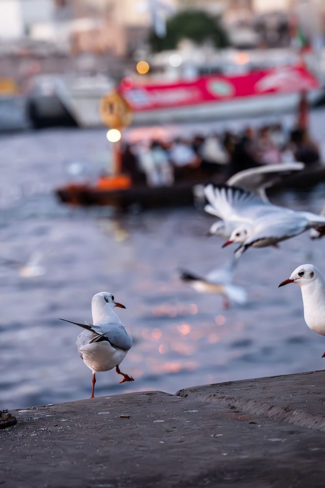 Photograph by Omnia Elshabrawy