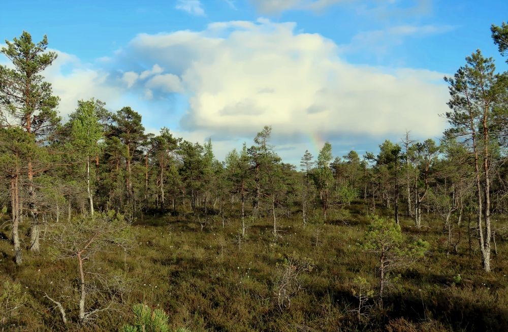 Photograph by Pjotr Alekseev