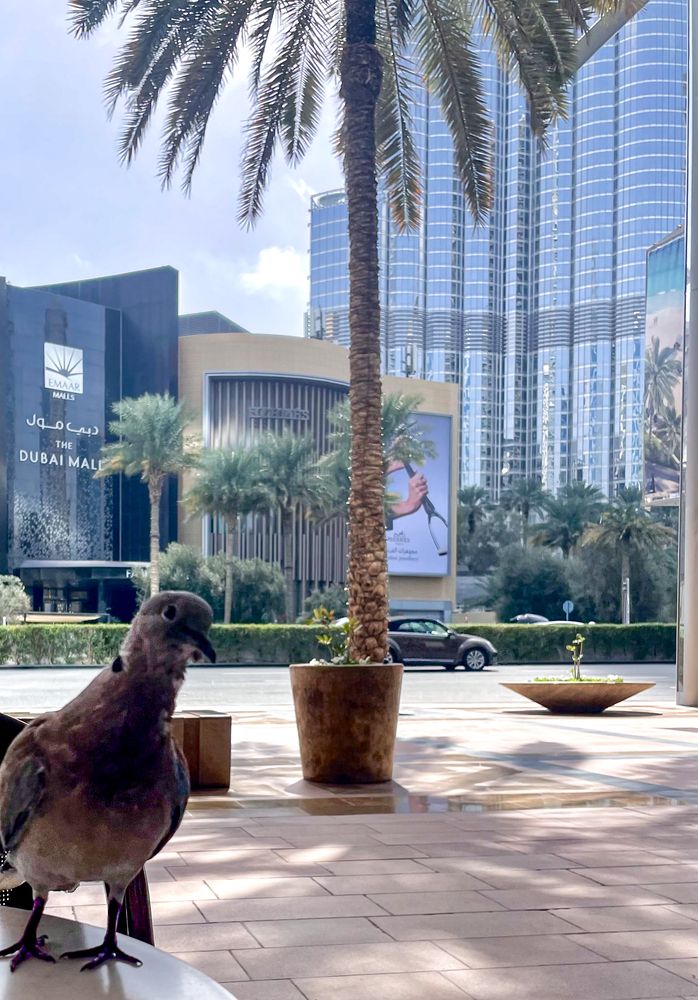 Photograph by Omnia Elshabrawy