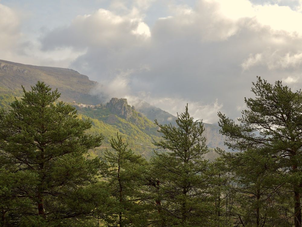 Photograph by Marina Odintsova