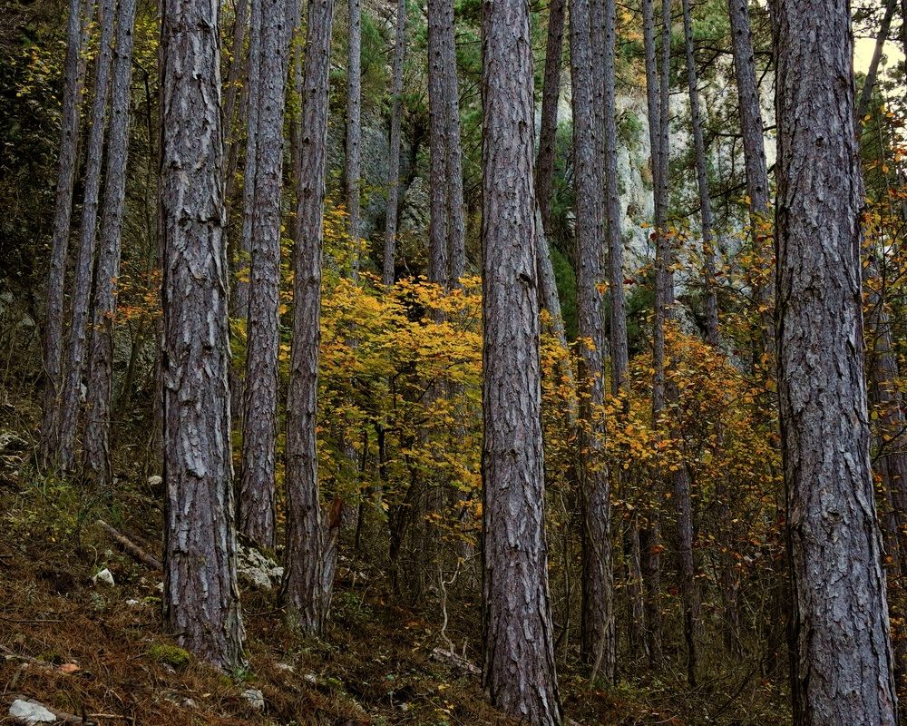 Photograph by Marina Odintsova