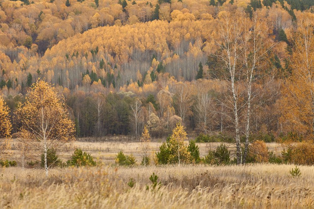 Фотография автора Александр Еремин