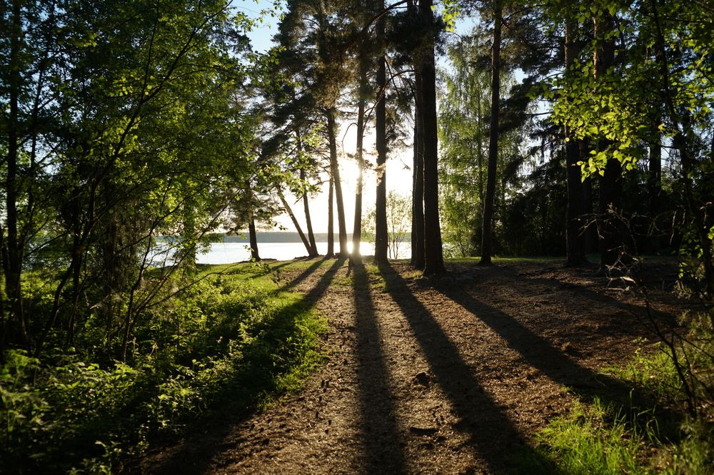 Photograph by Алексей Курносов