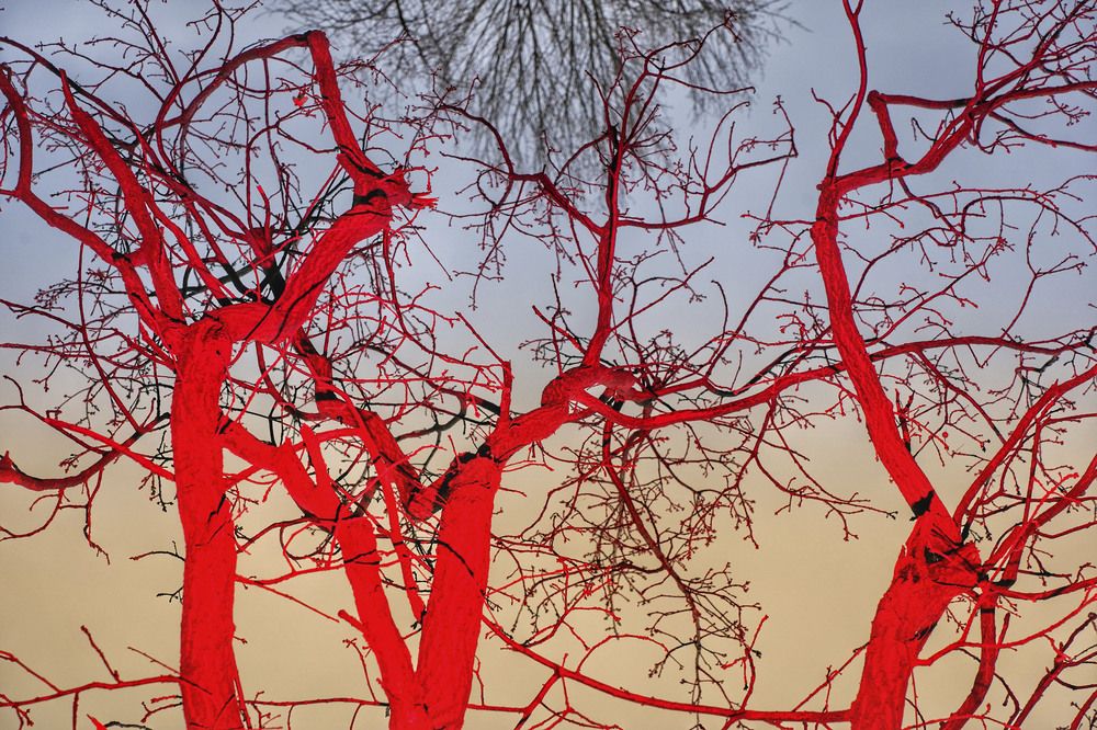 Photograph by Инесса Абрамова