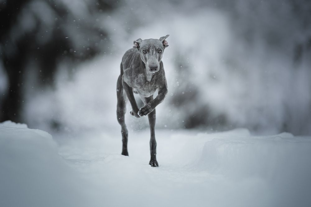 Фотография автора Ritus20018