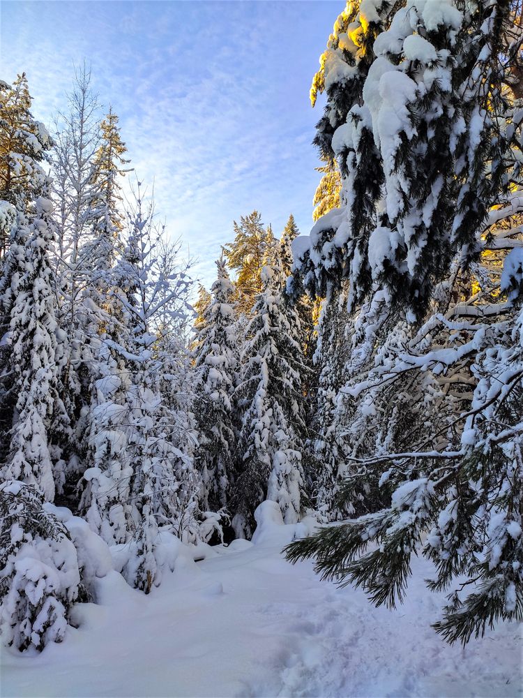 Photograph by Андрей Скрипниченко