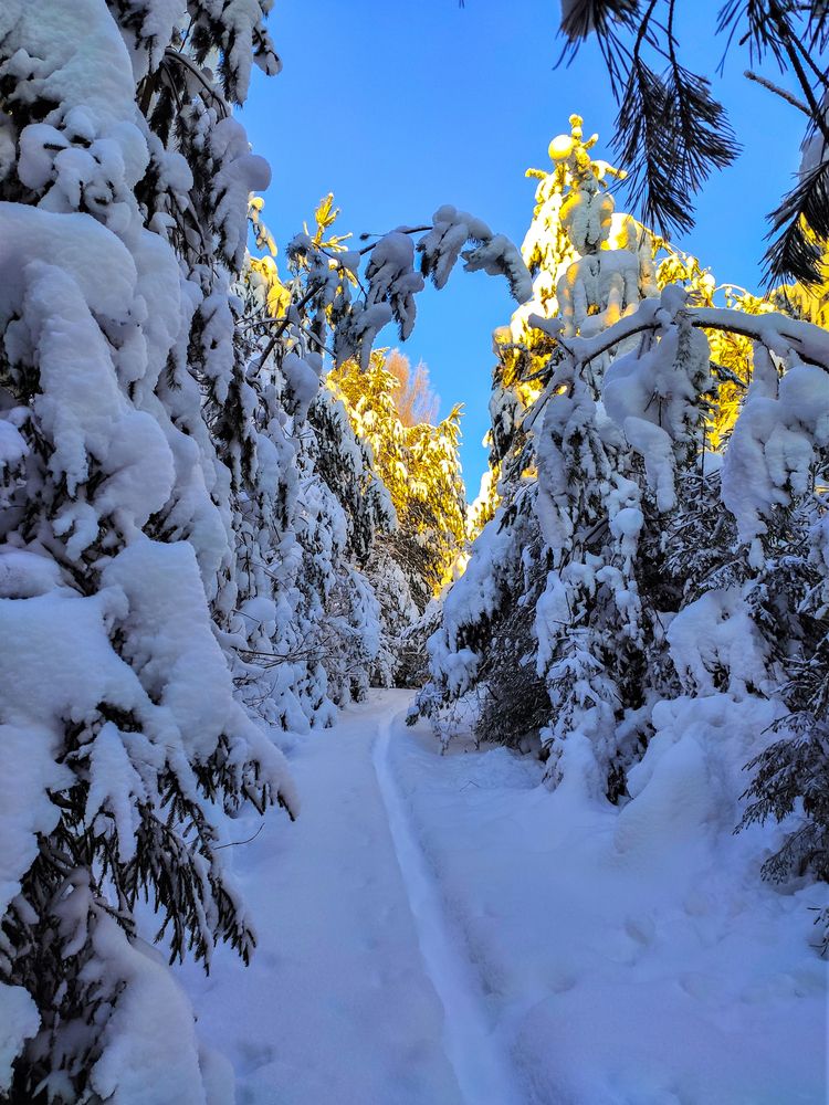 Photograph by Андрей Скрипниченко