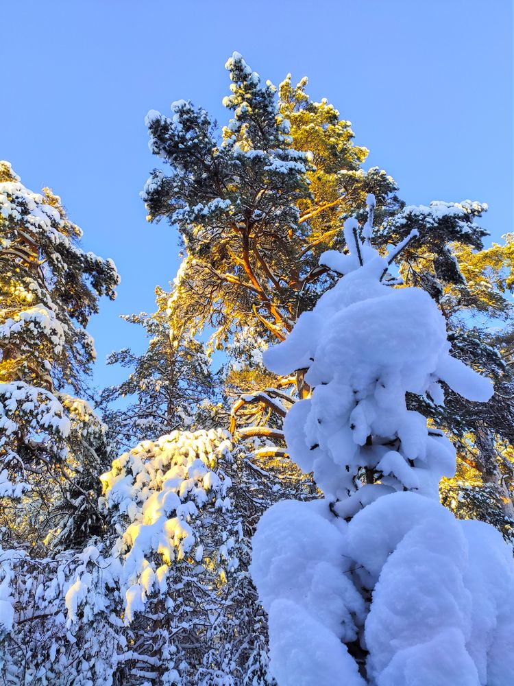 Photograph by Андрей Скрипниченко