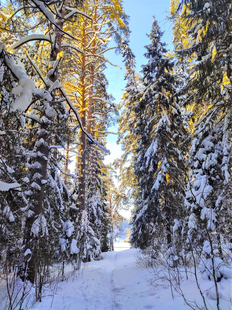 Photograph by Андрей Скрипниченко