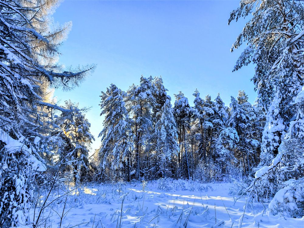 Photograph by Андрей Скрипниченко