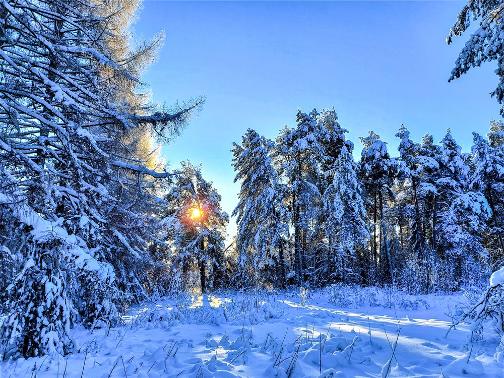 Photograph by Андрей Скрипниченко