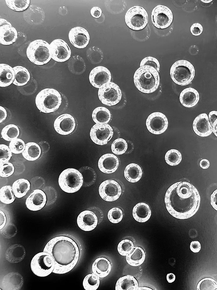 Фотография автора Olga Golubkova