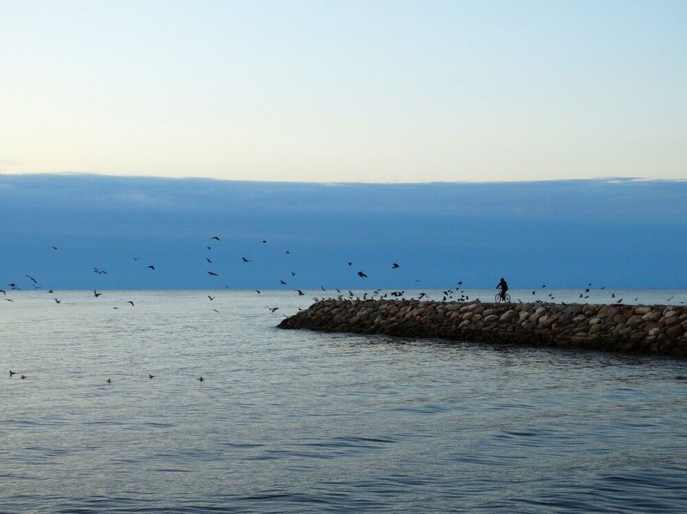 Photograph by ILONA OTRUTSKAYA