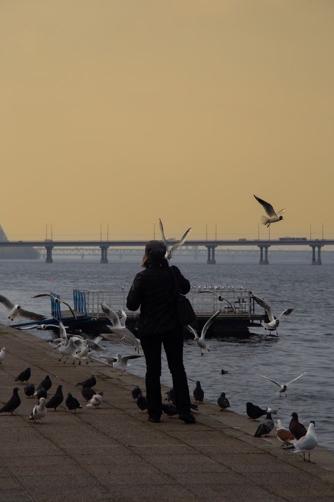 Photograph by Нелли Золотая