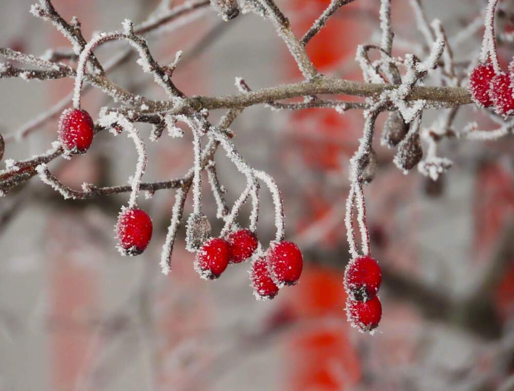 Photograph by Ольга Митрофанова