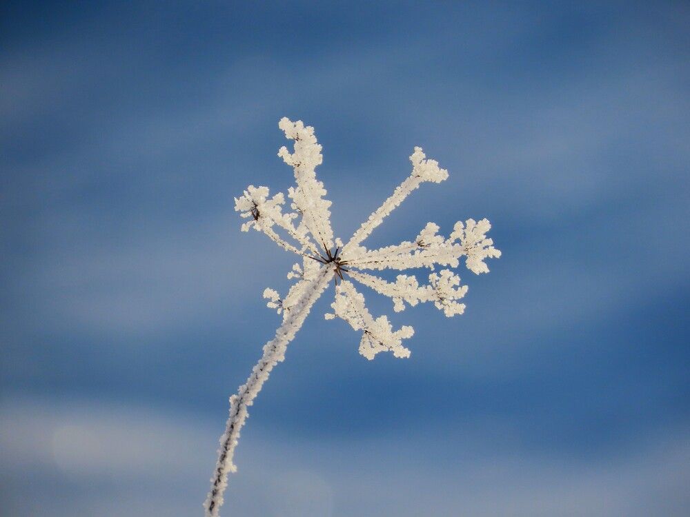 Photograph by Ольга Митрофанова