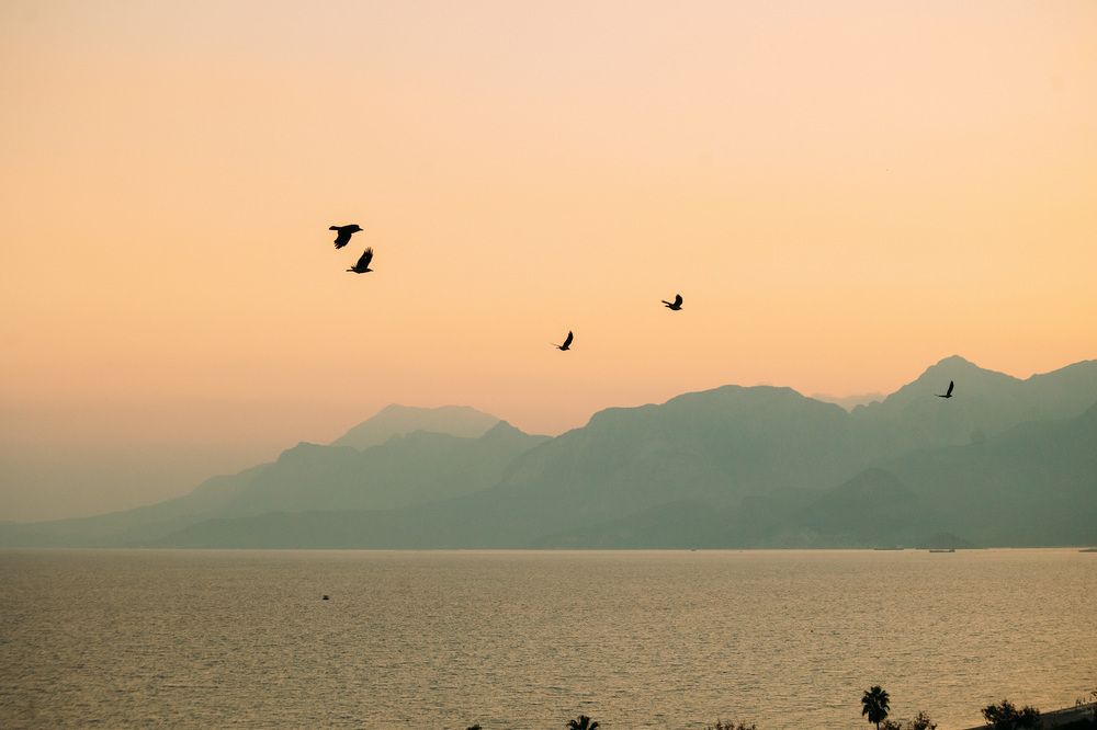 Photograph by Антон Ляпунов