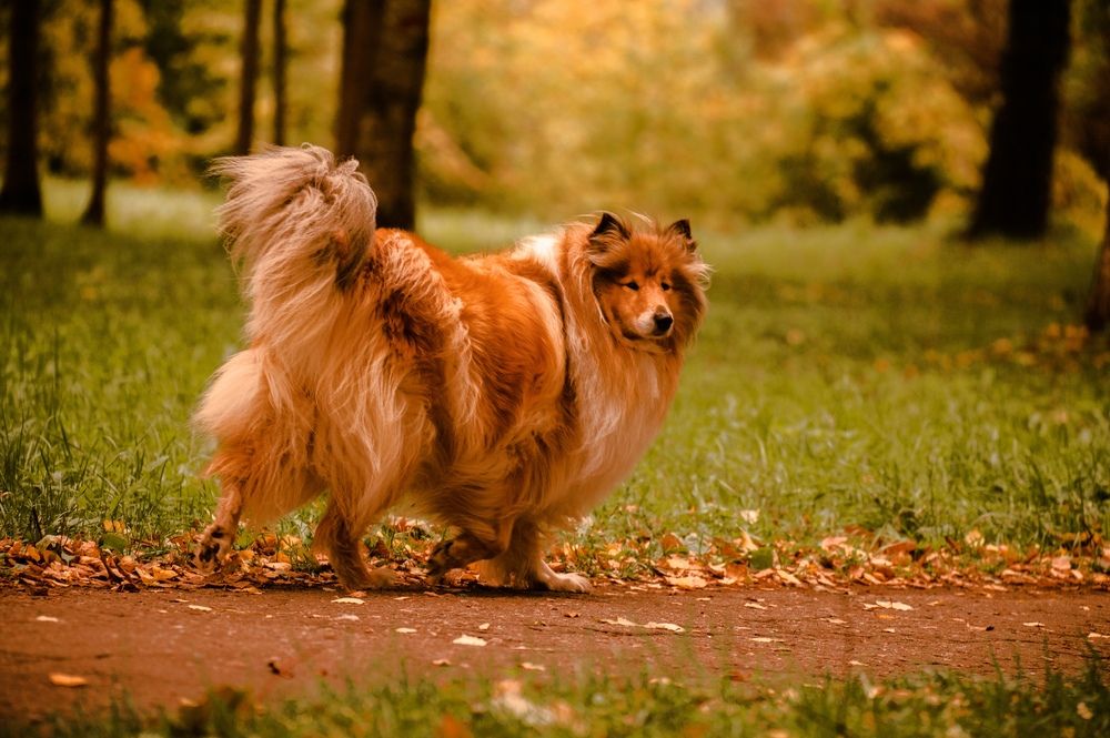 Photograph by Евгений Николаенков