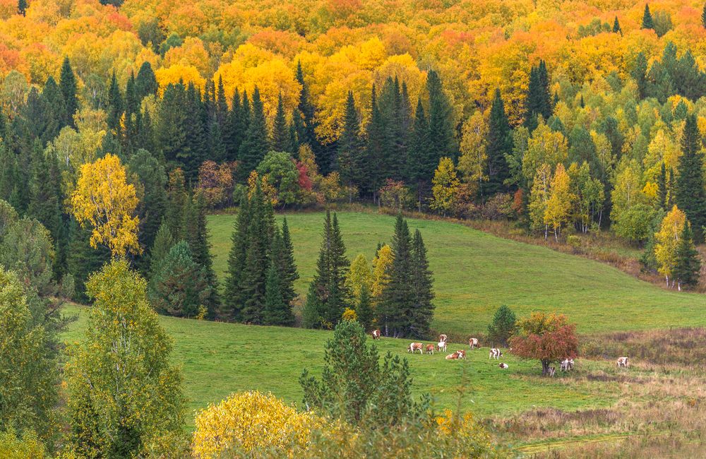 Photograph by Tatyana