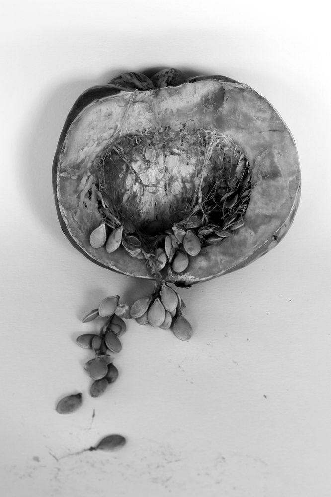 Photograph by Анастасия Карташова