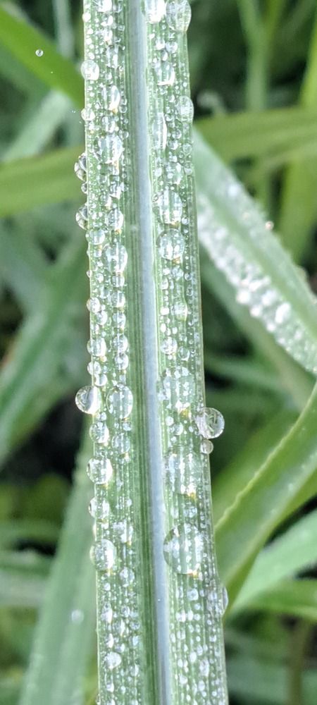 Фотография автора gustavo pecelis