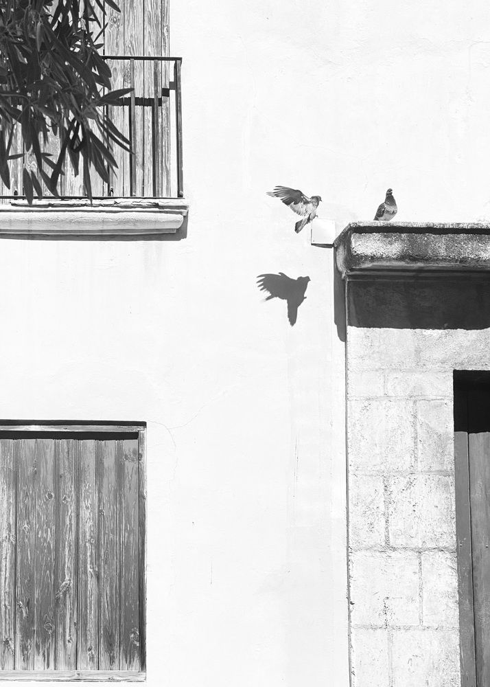 Фотография автора ГУЗАЛИЯ ГАНИЕВА