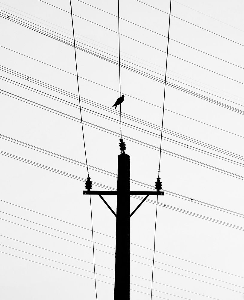 Фотография автора Mohammad Mohseni