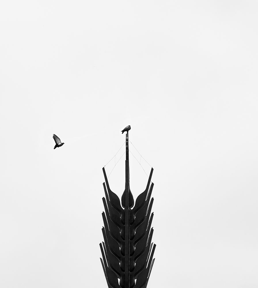 Фотография автора Mohammad Mohseni