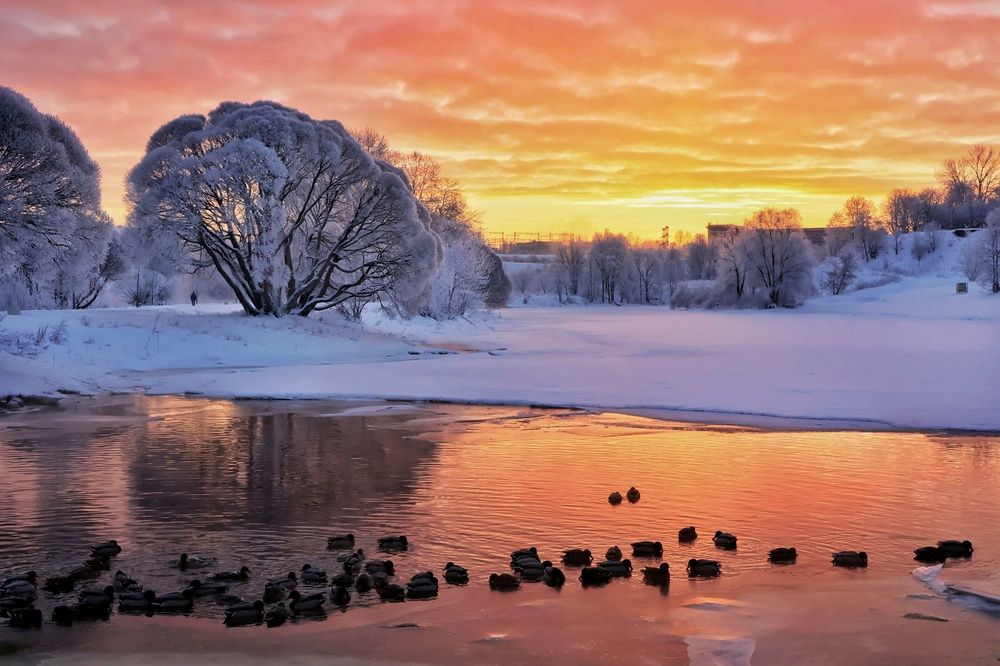 Photograph by Olga Asson