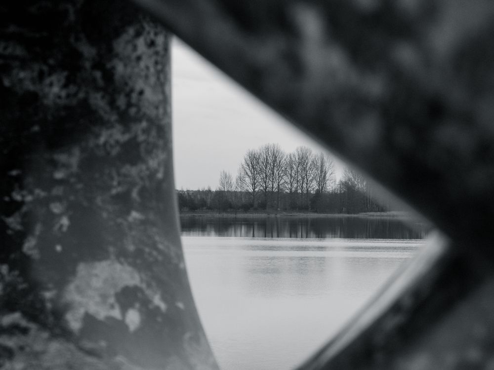 Фотография автора Алена Чёрная