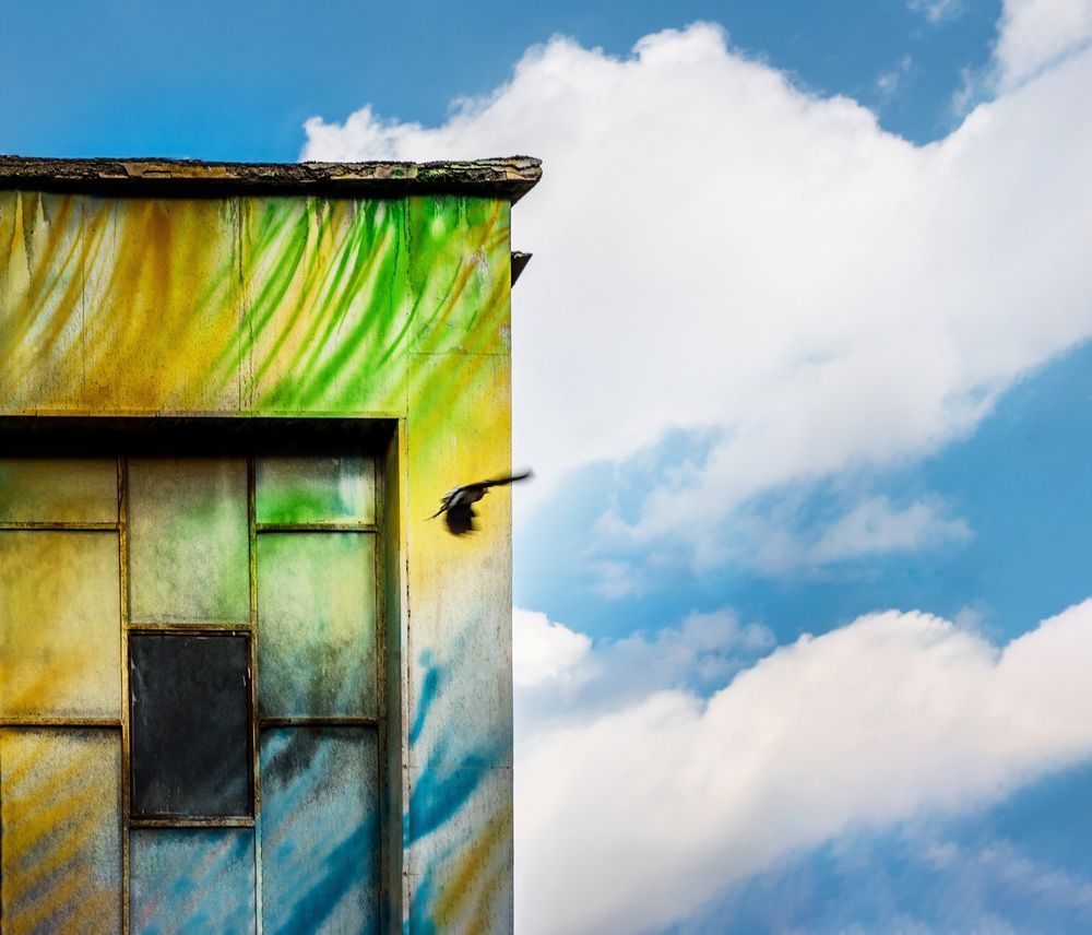 Фотография автора Mohammad Mohseni