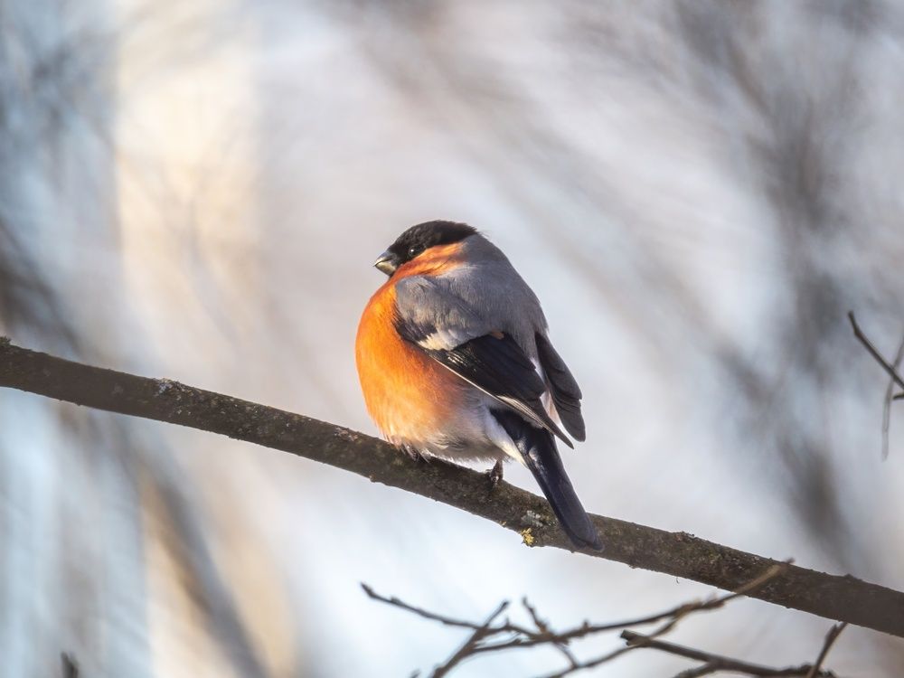 Photograph by Хабаров Сергей