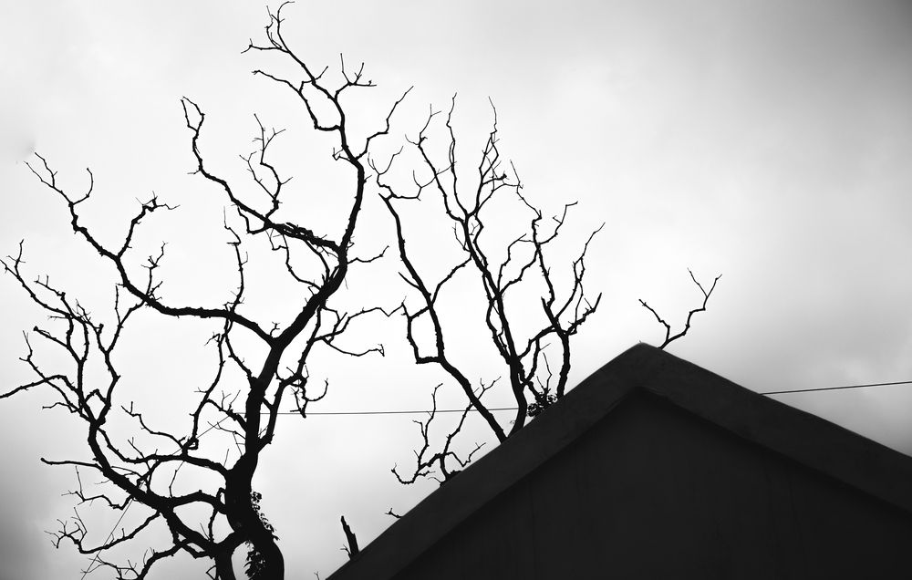 Фотография автора Afsana Faiza